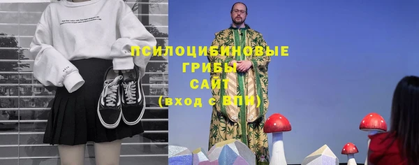 индика Алзамай