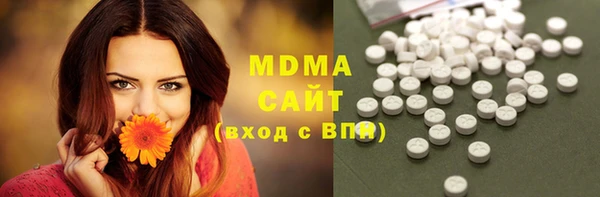 индика Алексин