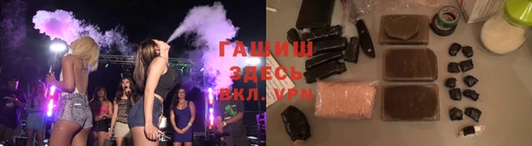 индика Алексин