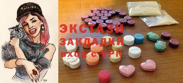 индика Алексин
