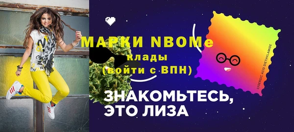 индика Алзамай