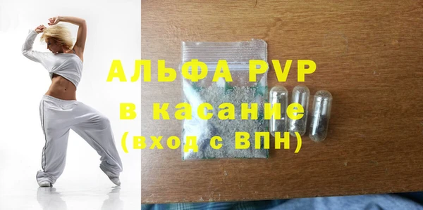 индика Алексин
