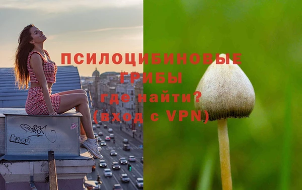индика Алексин