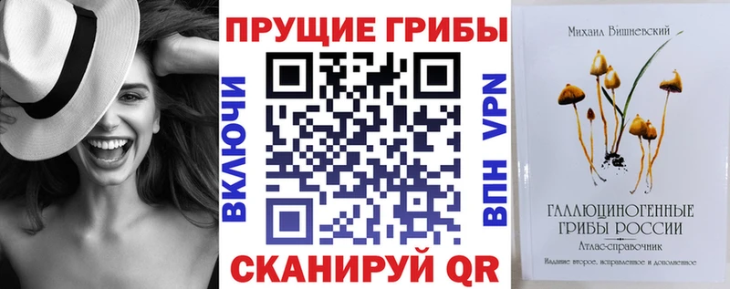 Галлюциногенные грибы Psilocybine cubensis  Анжеро-Судженск 