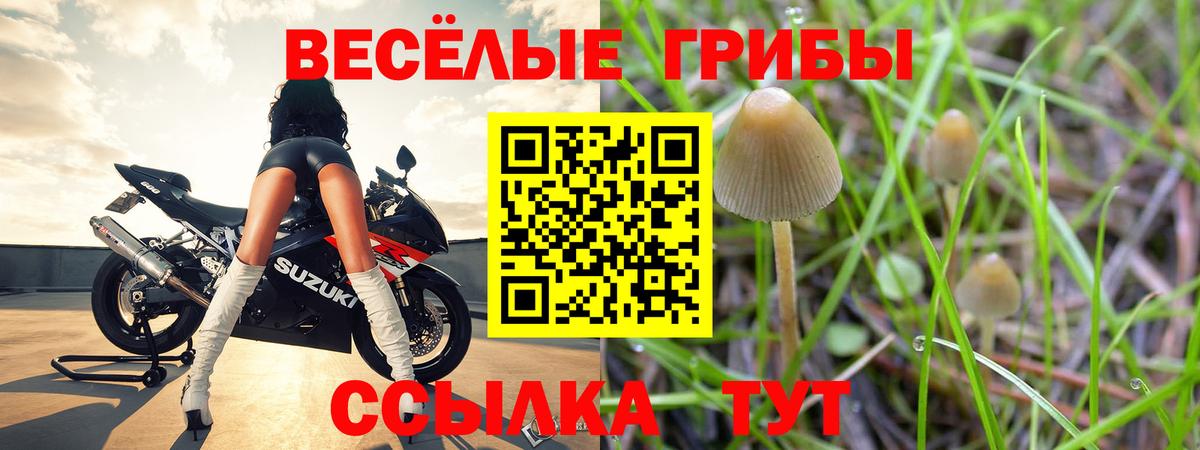 цена наркотик  Галлюциногенные грибы прущие грибы  Вход с VPN  Анжеро-Судженск 